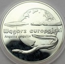20 zł złotych 2003 Węgorz Europejski POŁYSK