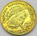 2 zł, złote 1998 Ropucha Paskówka