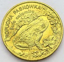 2 zł złote 1998 Ropucha paskówka